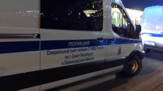 В Пулково задержан подозреваемый в приставании к несовершеннолетней падчерице