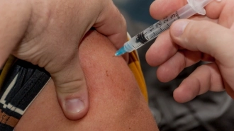 Прививку от клещевого энцефалита сделали более 1,5 тыс. петербуржцев 