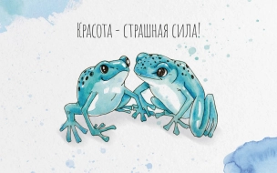 Ленинградский зоопарк  создал  серию почтовых открыток с животными
