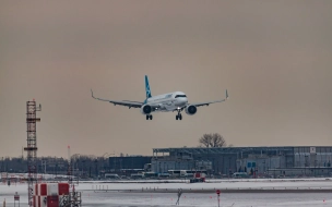 Из-за снежной погоды рейсы в Петербург массово задерживаются