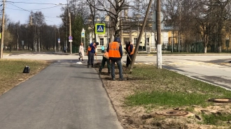 Наталья Чечина не поддержала идею лишить муниципалов полномочий по благоустройству в Петербурге