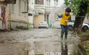 В последний день апреля в Ленобласти будет дождливо