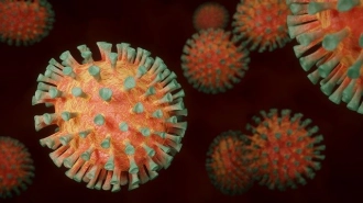 Ученые нашли ранее неизвестный коронавирус