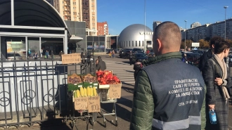 С начала прошлой недели в Петербурге снесли 24 ларька незаконной торговли