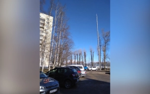 В Петербурге начали обсуждать порядок установки вышек сотовой связи