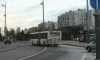 Автобус №261 свяжет новые кварталы Васильевского острова с метро 