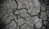 В Курганской области ввели режим ЧС из-за засухи