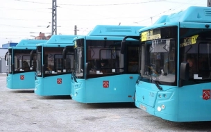 К транспортной реформе Петербург закупит почти 3 тыс. новых автобусов разной вместимости