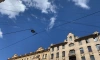 Июнь этого года стал самым солнечным месяцем в Петербурге за последние 35 лет