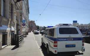Сотрудница МВД из Петербурга пострадала от рук избивавшей ребенка женщины