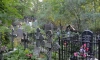 Смольный проведёт конкурс на обслуживание 42 городских кладбищ