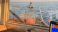 Спасатели Новой Ладоги выручили рыбаков, дрейфовавших ...