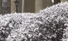 На выходных петербуржцам пообещали "по-настоящему зимнюю" погоду