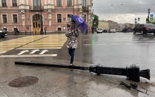 "Желтый" уровень погодной опасности объявлен в Петербурге из-за ветра