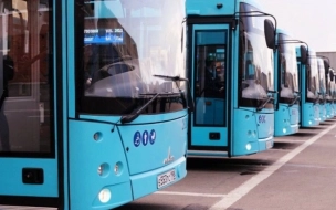 Первые 5 автобусов большого класса вышли на улицы Петербурга 