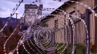 Сотрудник "Комитета против пыток" рассказал об алгоритме борьбы с насилием в тюрьмах