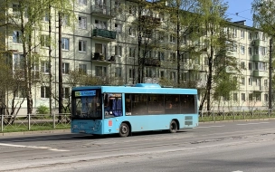 В Смольном рассказали о 4 новых автобусных маршрутах на севере Петербурга