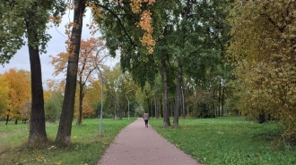 В Петербурге 28 октября пройдут дожди, но будет тепло