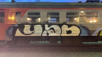 На станции Мга задержали столичных студентов, исписавших вагон граффити