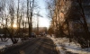 В Петербурге 8 марта будет солнечно и прохладно