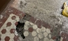 Работы по демонтажу напольной плитки в доме на Большой Пушкарской приостановили
