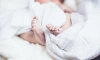 Рекордное количество детей родилось в Ленобласти в августе 2023 года