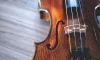 Парад симфонических оркестров войдёт в программу культурного форума в Петербурге