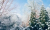 В Ленобласти 13 января местами похолодает до -18 градусов