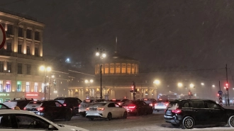 В Петербурге объявили "желтый" уровень опасности из-за сильного ветра