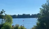 Мужчина утонул в Суздальском озере в Петербурге
