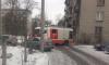 Сотрудники МЧС спасли из горящей квартиры на Московском шоссе пять кошек