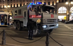 Хулиганы "заминировали" Эрмитаж и торговые центры Петербурга в День Победы