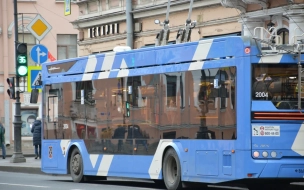 В Петербурге задержали иностранцев, устроивших драку в троллейбусе на Невском проспекте