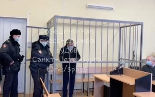 Следствие считает, что бывший главный нефролог Петербурга убил жену из-за квартиры