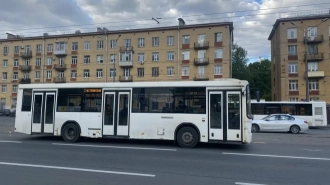 В Ленобласти семьи мобилизованных получат льготные БСК