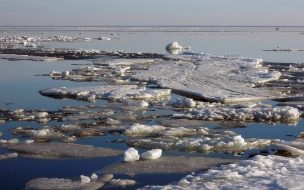 На Северной верфи оператор одного из каналов Петербурга упал в воду