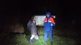Спасатели эвакуировали женщину из леса Тосненского района