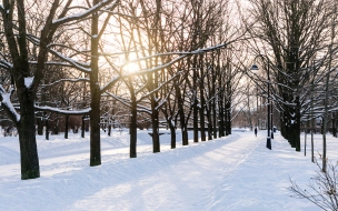 Утром 10 декабря в Петербурге заметили ледяную пыль 