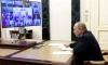 Путин призвал не допустить повторения прошлогодней ситуации с лесными пожарами