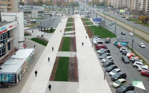 Около станции метро "Проспект Большевиков" поставили сотню скамеек и высадили деревья