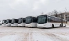 Из Петербурга в Псков переданы 10 пассажирских автобусов марки Volgabus