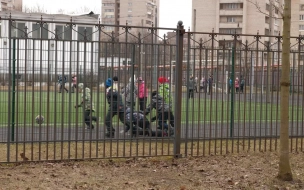 В Петербурге ученики 59 школ ушли на дистанционку из-за ковида и ОРВИ