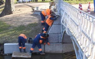 В Таврическом саду очистят и обновят пешеходный мост