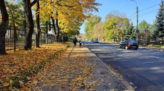 Петербуржцам на выходных пообещали благоприятную погоду