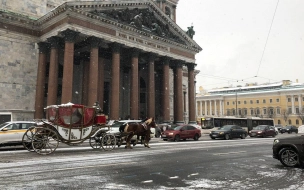 Петербург 1 февраля находится в тёплом секторе циклона "Маргрит"