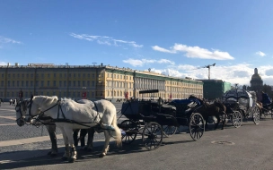 Празднование Дня города в Петербурге пройдет в очном формате с телетрансляциями