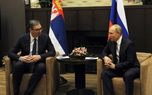 Путин отметил рост товарооборота с Сербией