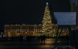 Новогоднюю ель на Дворцовой зажгут 20 декабря