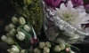 Петербург попал в тройку городов по росту цен на цветы к 8 марта