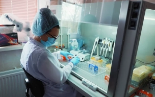 За последние сутки обследовались на коронавирус более 19 тысяч петербуржцев
